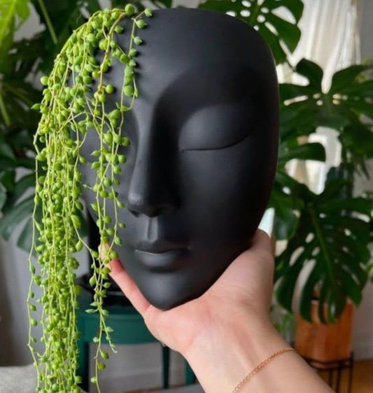 Black Head Planter