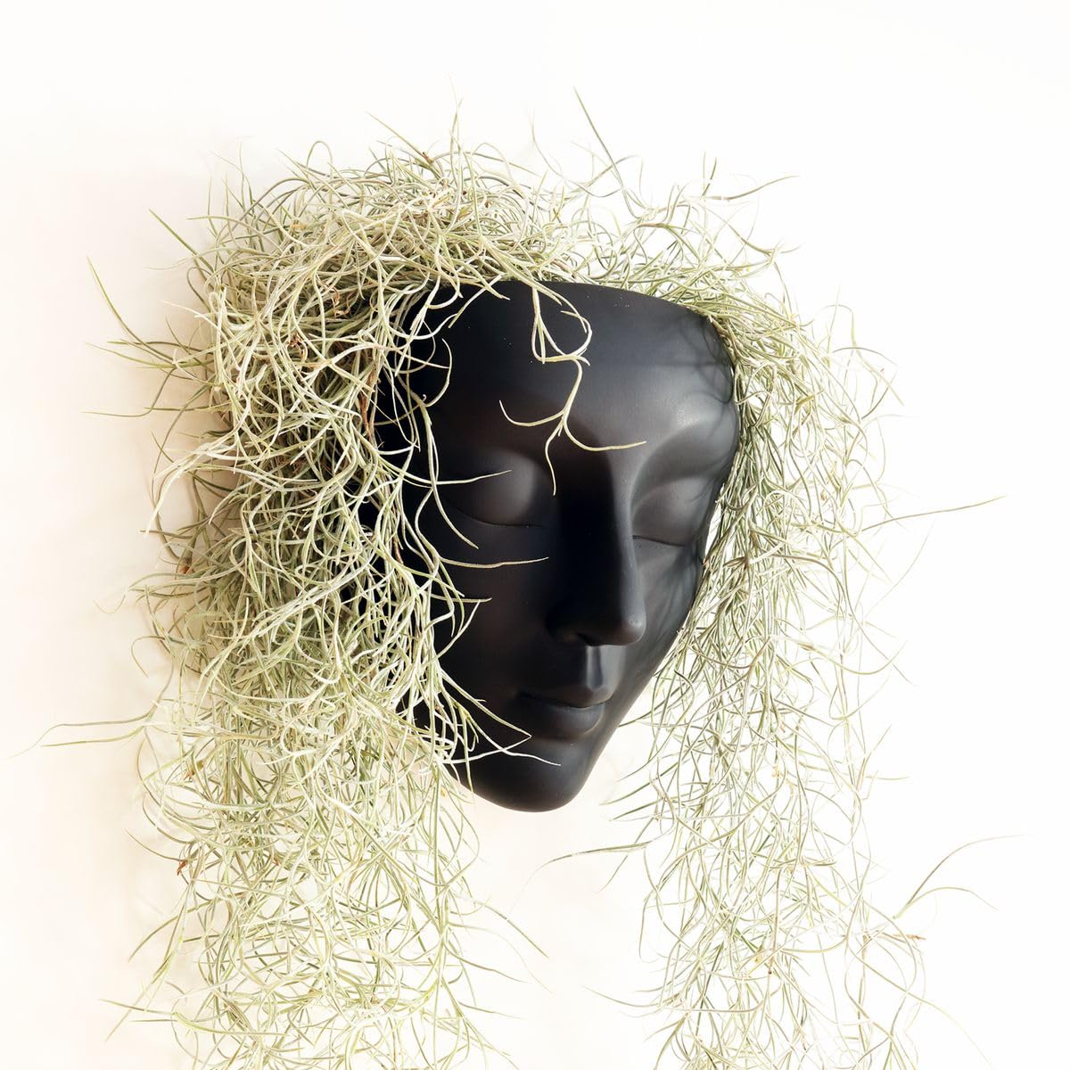 Black Head Planter