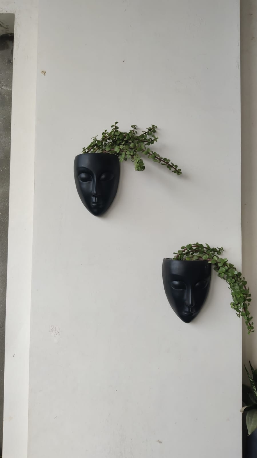 Black Head Planter